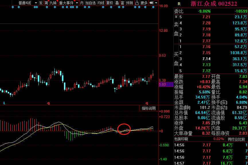 浙江眾成日線 macd 金叉